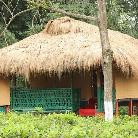 Nature Hunt Eco Camp Kāziranga Exterior foto