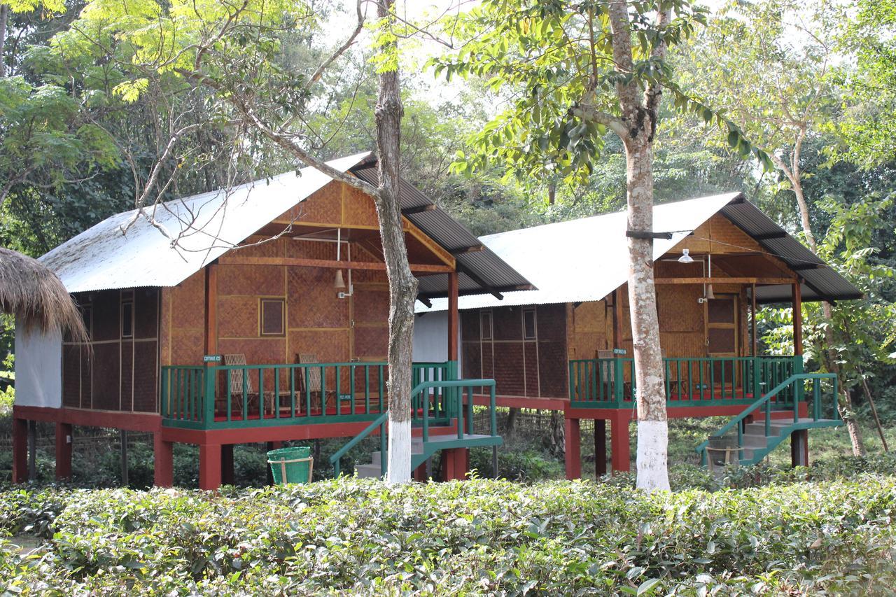 Nature Hunt Eco Camp Kāziranga Exterior foto