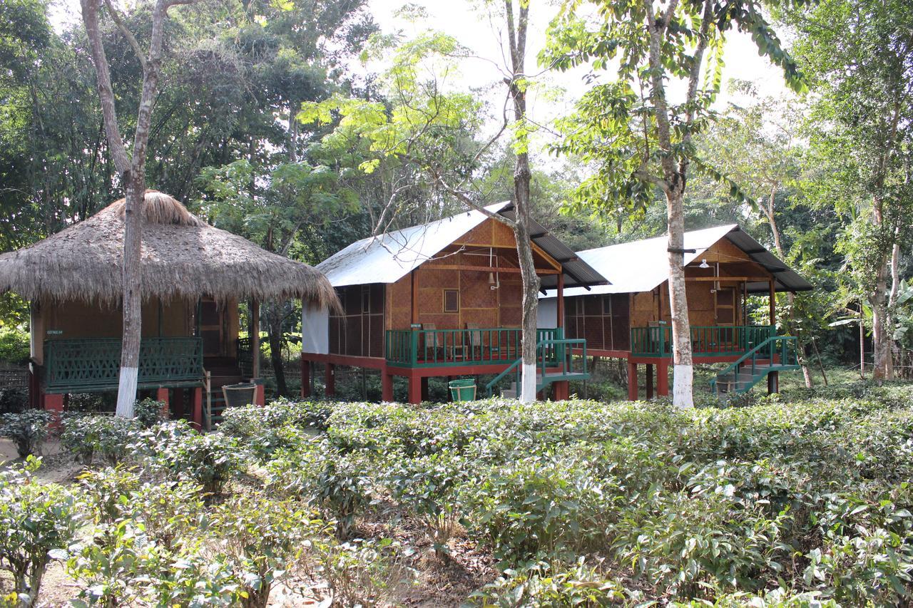 Nature Hunt Eco Camp Kāziranga Exterior foto