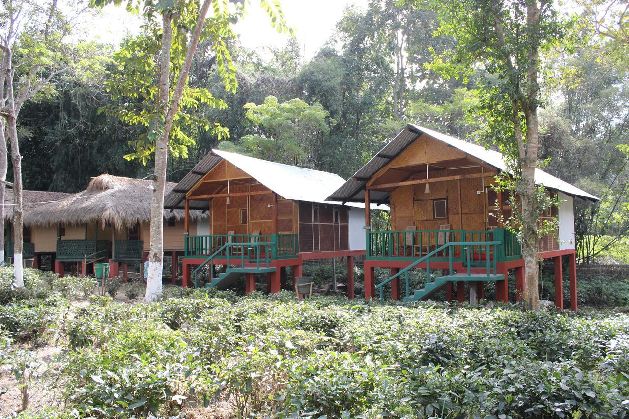 Nature Hunt Eco Camp Kāziranga Exterior foto
