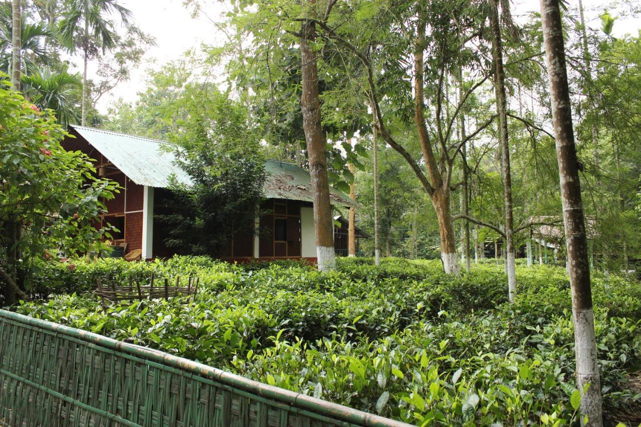 Nature Hunt Eco Camp Kāziranga Exterior foto