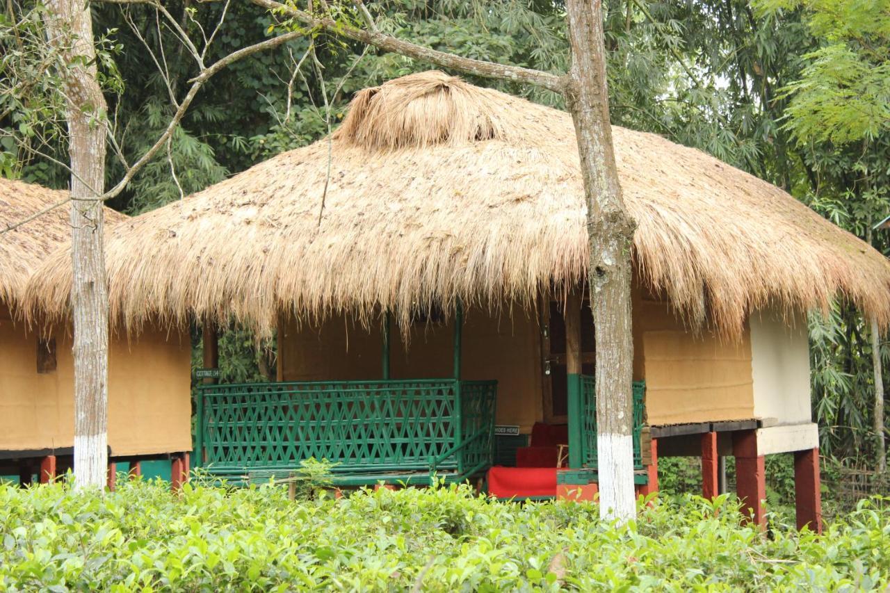 Nature Hunt Eco Camp Kāziranga Exterior foto